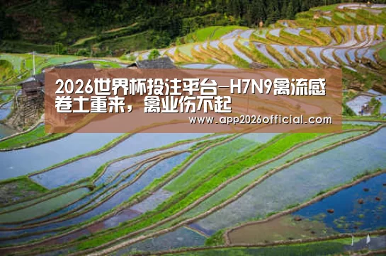 2026世界杯投注站