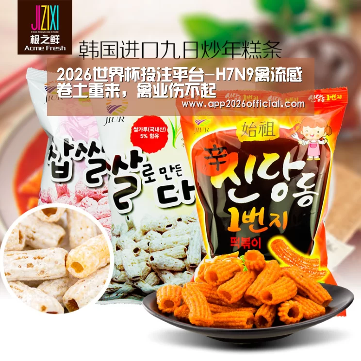 世界杯下注入口