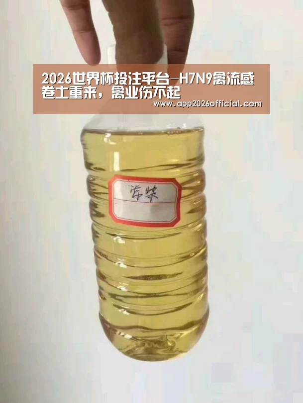 2026世界杯投注站官网