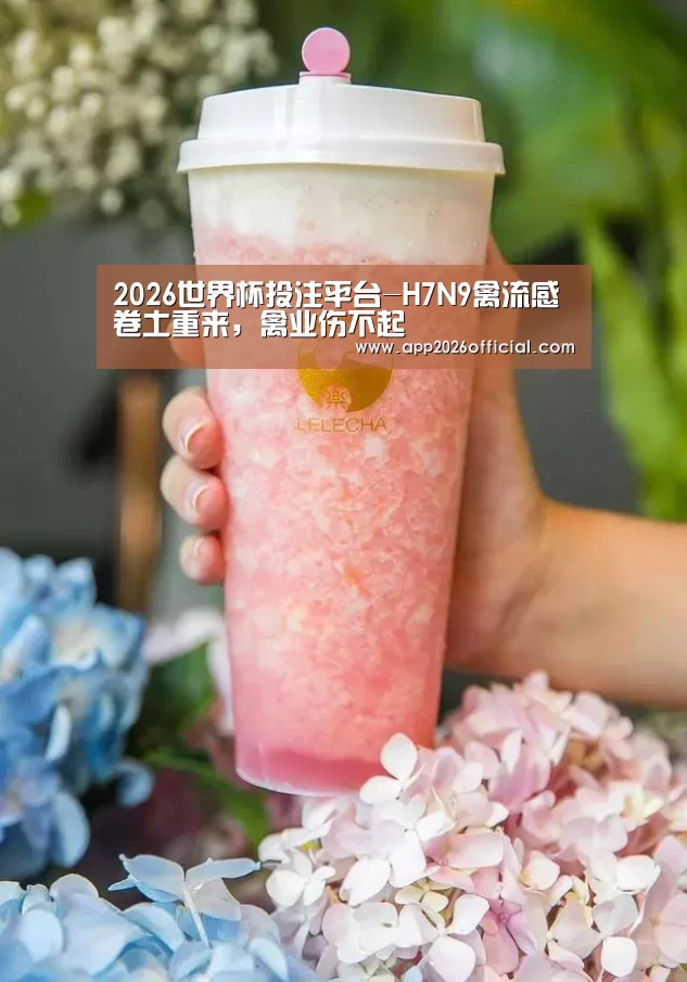 2026世界杯投注站