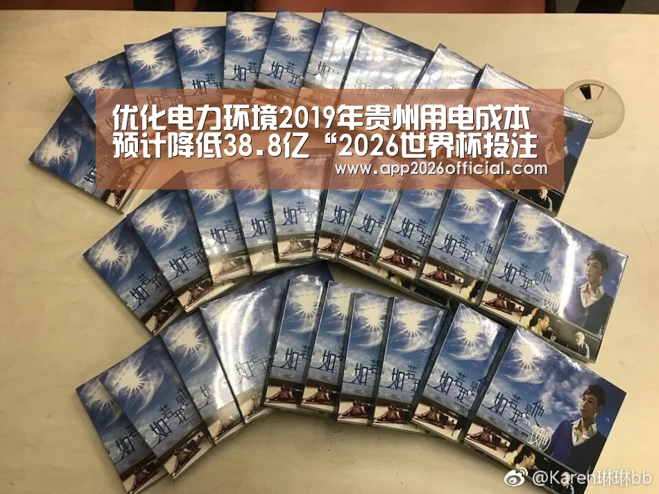 优化电力环境2019年贵州用电成本预计降低38.8亿“2026世界杯投注站官网”(图3) 2026世界杯投注站官网