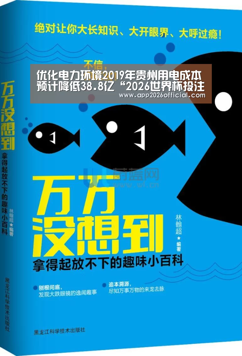 优化电力环境2019年贵州用电成本预计降低38.8亿“2026世界杯投注站官网”(图2) 2026世界杯投注站官网