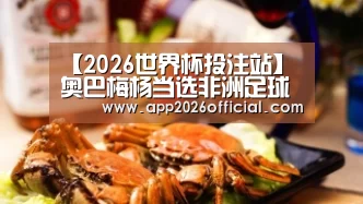 2026世界杯投注站官网