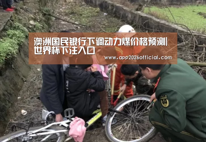 澳洲国民银行下调动力煤价格预测|世界杯下注入口(图2) 2026世界杯投注平台