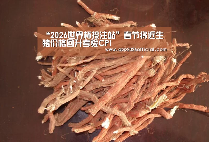 “2026世界杯投注站”春节将近生猪价格回升考验CPI(图1) 2026世界杯投注站