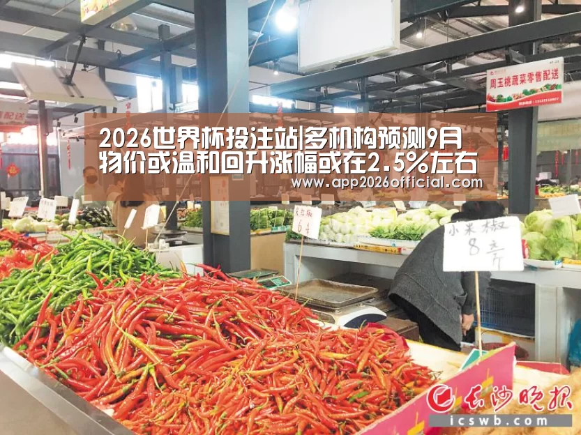2026世界杯投注站