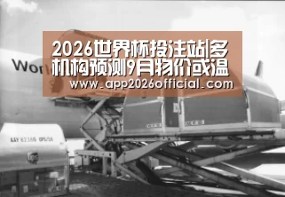 2026世界杯投注站官网