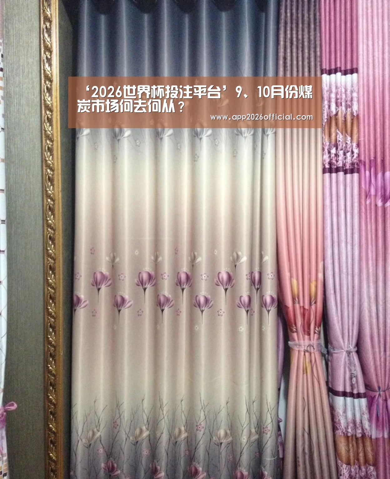 2026世界杯投注站官网