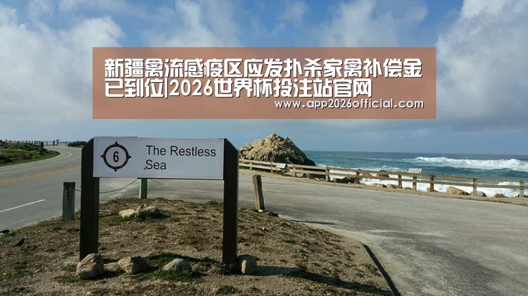 2026世界杯投注平台