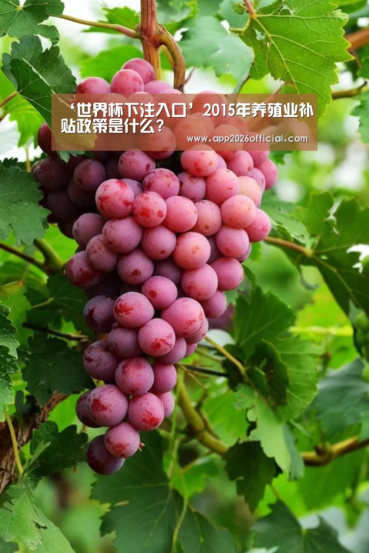 ‘世界杯下注入口’2015年养殖业补贴政策是什么?(图1) 2026世界杯投注站官网