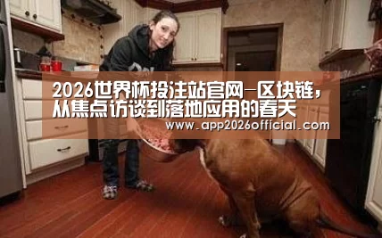 2026世界杯投注站官网-区块链,从焦点访谈到落地应用的春天(图2) 2026世界杯投注平台