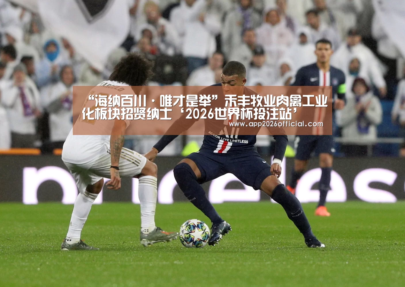 “海纳百川·唯才是举”禾丰牧业肉禽工业化板块招贤纳士‘2026世界杯投注站’(图5) 世界杯下注入口