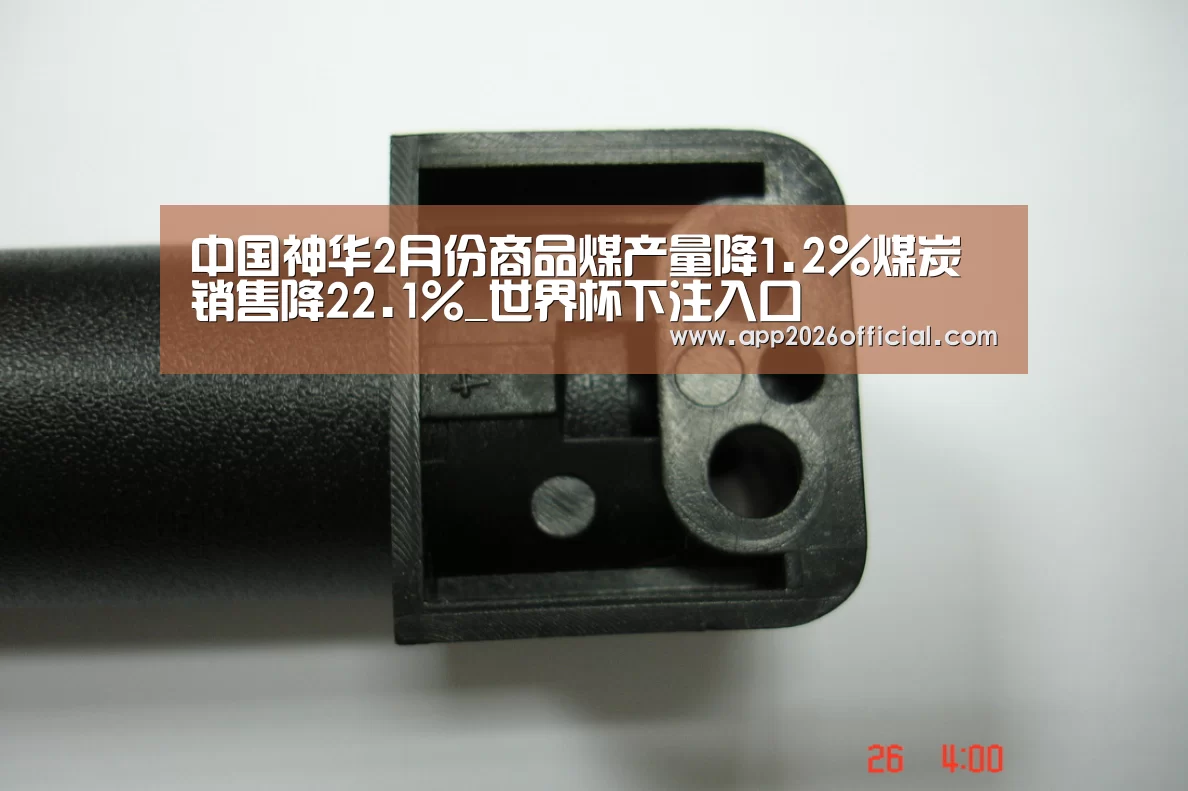 中国神华2月份商品煤产量降1.2%煤炭销售降22.1%_世界杯下注入口(图1) 2026世界杯投注站