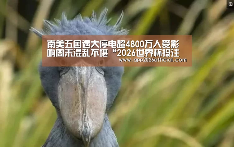 2026世界杯投注站