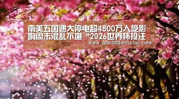 世界杯下注入口