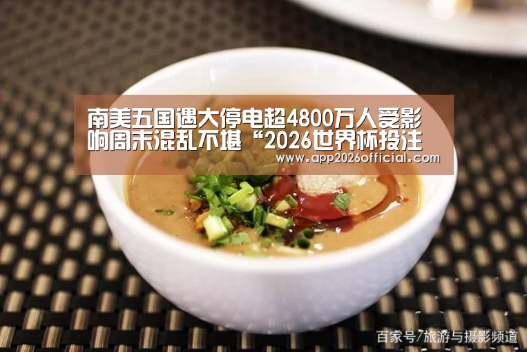 世界杯下注入口