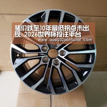 世界杯下注入口