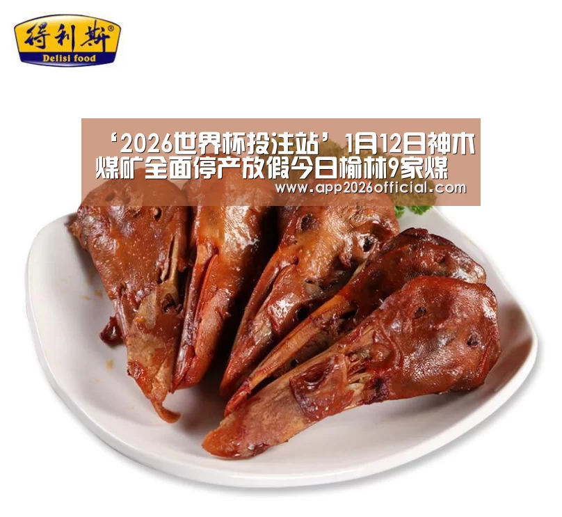 ‘2026世界杯投注站’1月12日神木煤矿全面停产放假今日榆林9家煤矿调价10-20元/吨!(图4) 2026世界杯投注站