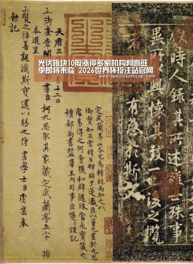 光伏板块10股涨停多家机构判断旺季即将来临_2026世界杯投注站官网(图3) 2026世界杯投注平台