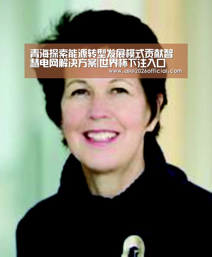 青海探索能源转型发展模式贡献智慧电网解决方案|世界杯下注入口(图1) 2026世界杯投注站