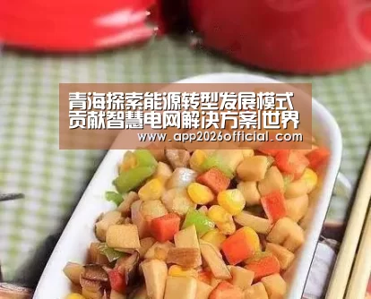 青海探索能源转型发展模式贡献智慧电网解决方案|世界杯下注入口(图2) 世界杯下注入口
