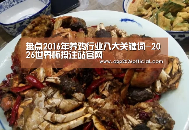 世界杯下注入口